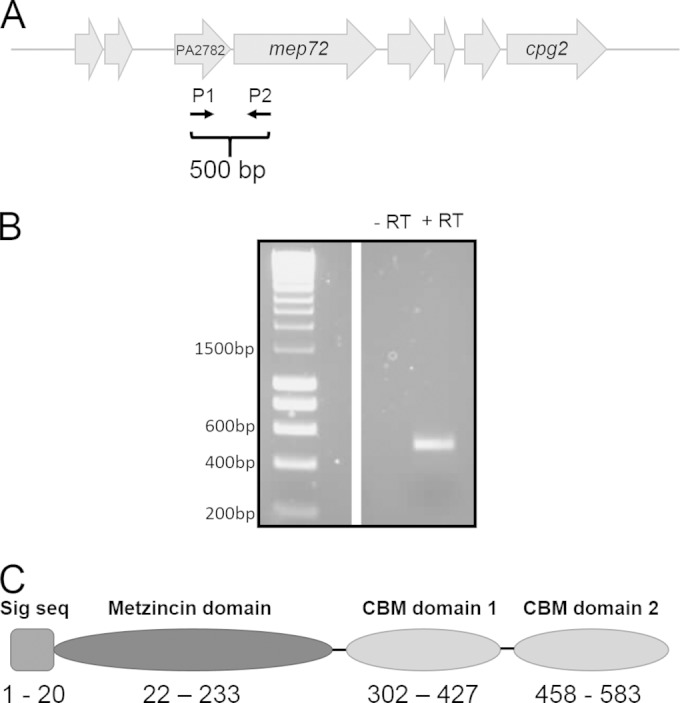 FIG 2