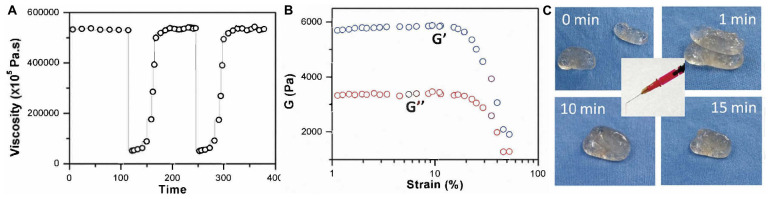 FIGURE 3