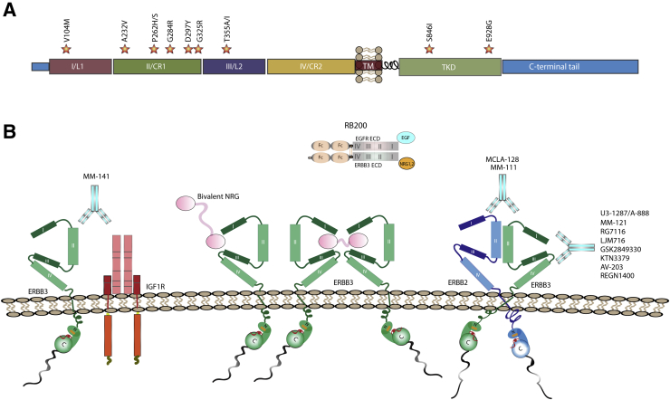 Figure 3