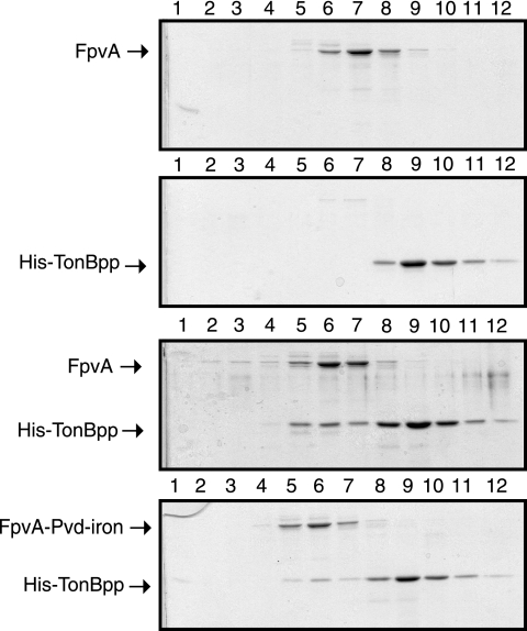 FIG. 5.