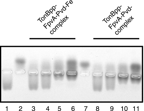 FIG. 6.