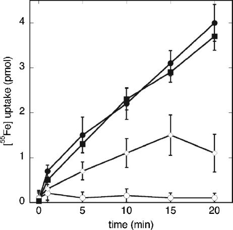 FIG. 3.