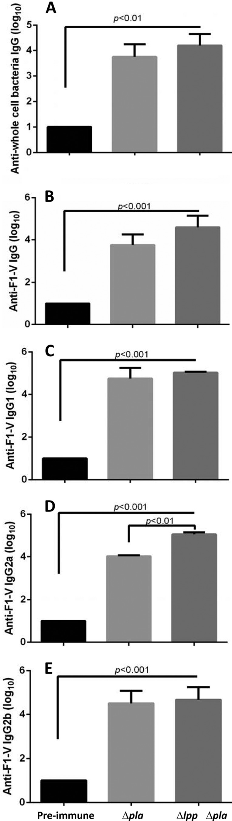 FIG 8