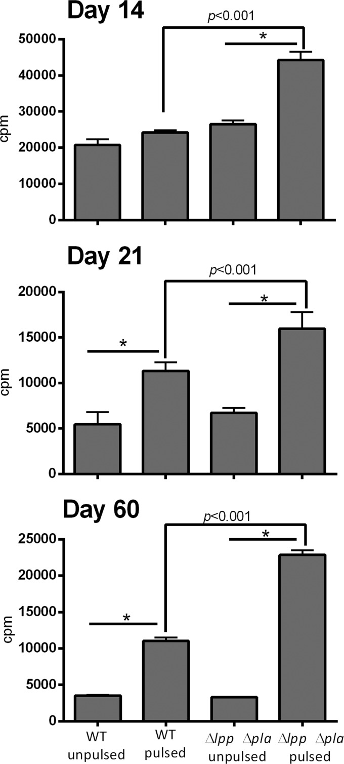 FIG 11