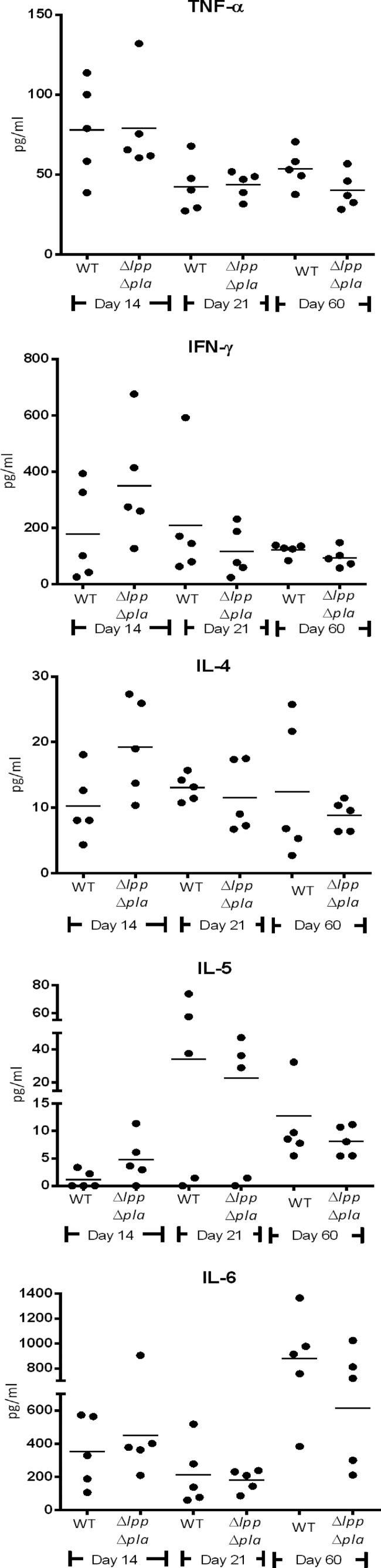 FIG 12