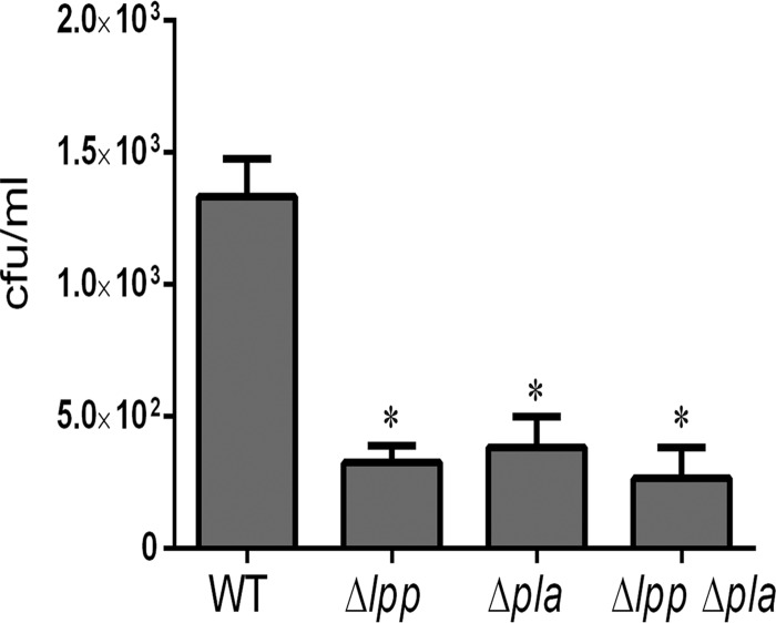 FIG 2