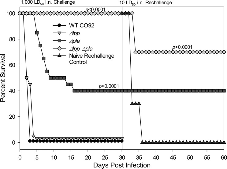 FIG 6