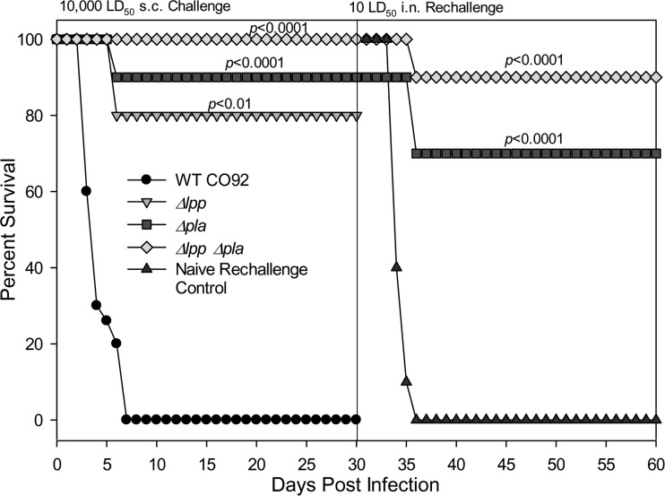 FIG 3