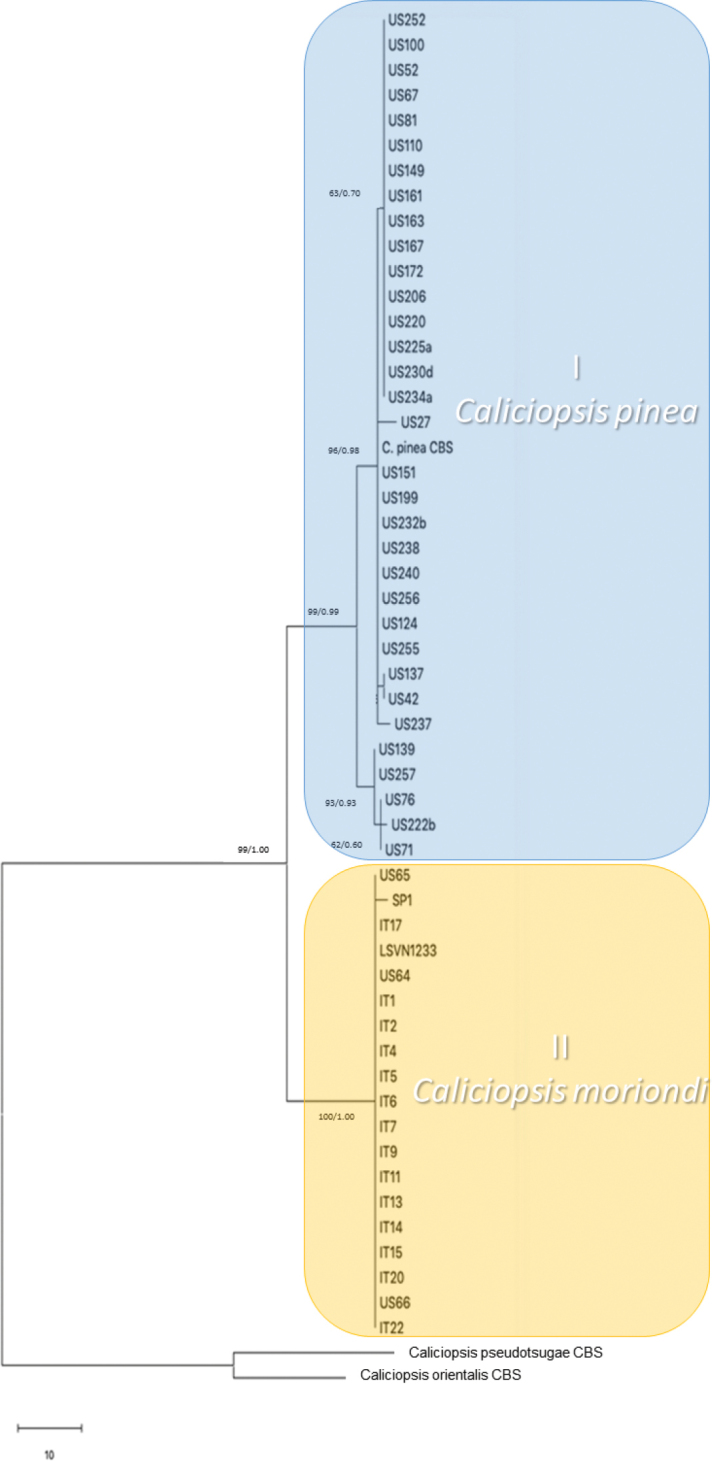 Figure 3.