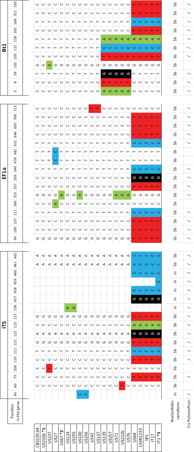 Figure 5.