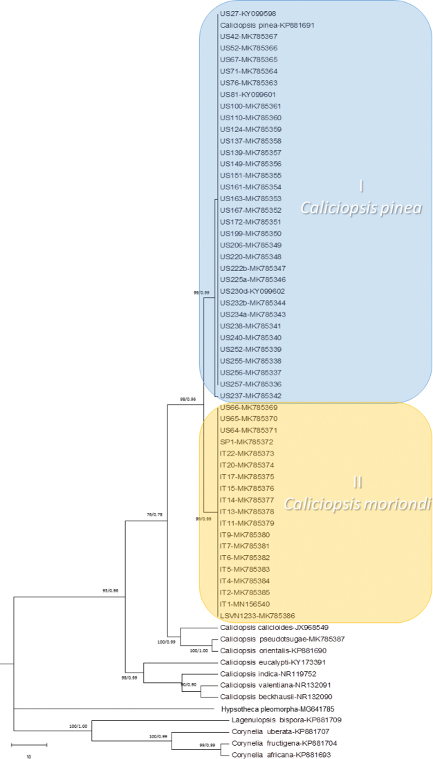 Figure 4.