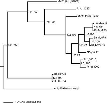 Figure 4.