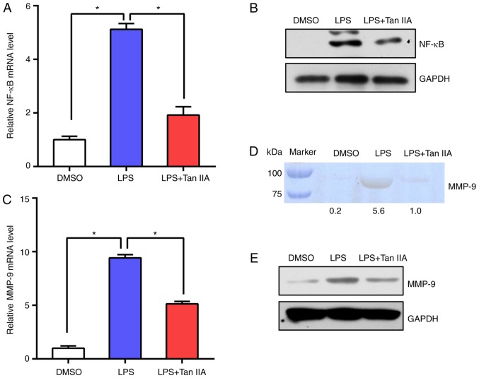 Figure 5.