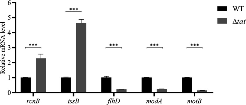 FIG 6