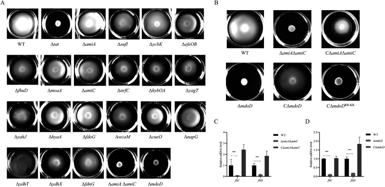 FIG 3