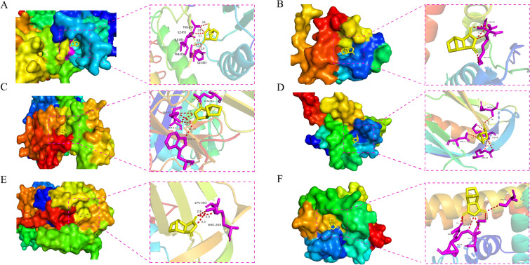 Fig. 7