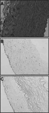 FIG. 7