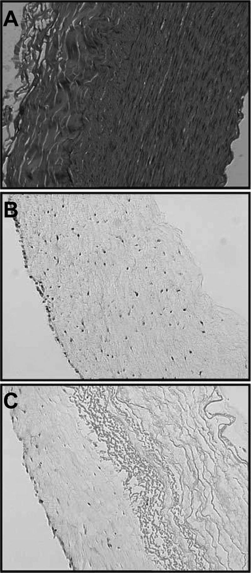 FIG. 7