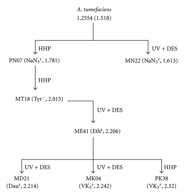 Figure 2