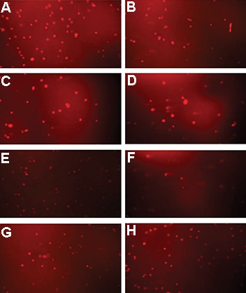 Fig.3