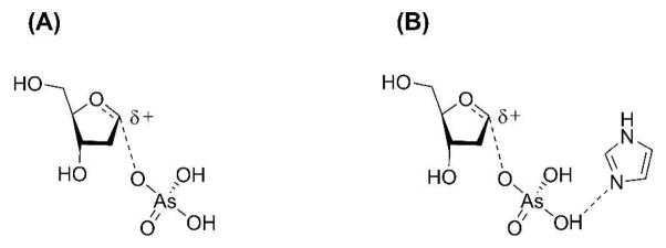 Scheme 3