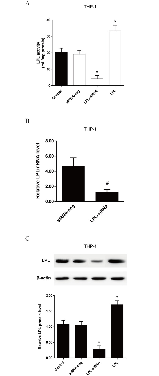 Fig 5