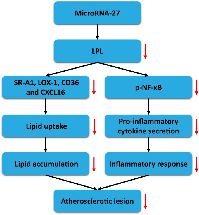 Fig 8