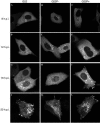 FIG. 3.