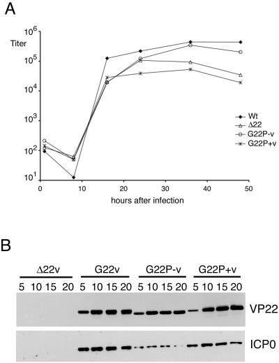 FIG. 8.