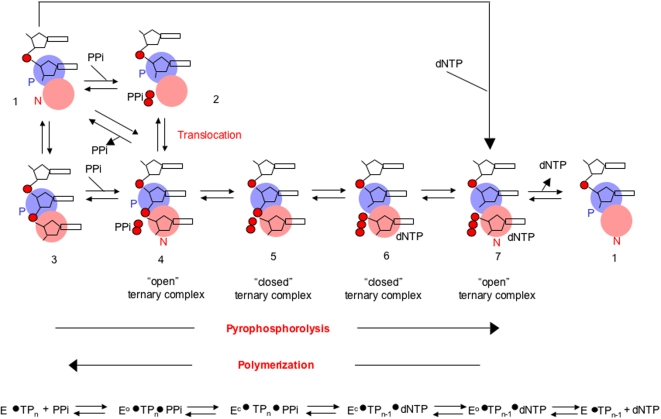 Figure 7