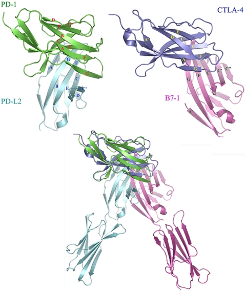 Fig. 4.