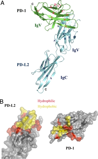 Fig. 1.