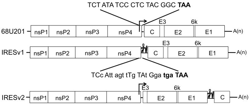 Fig.1