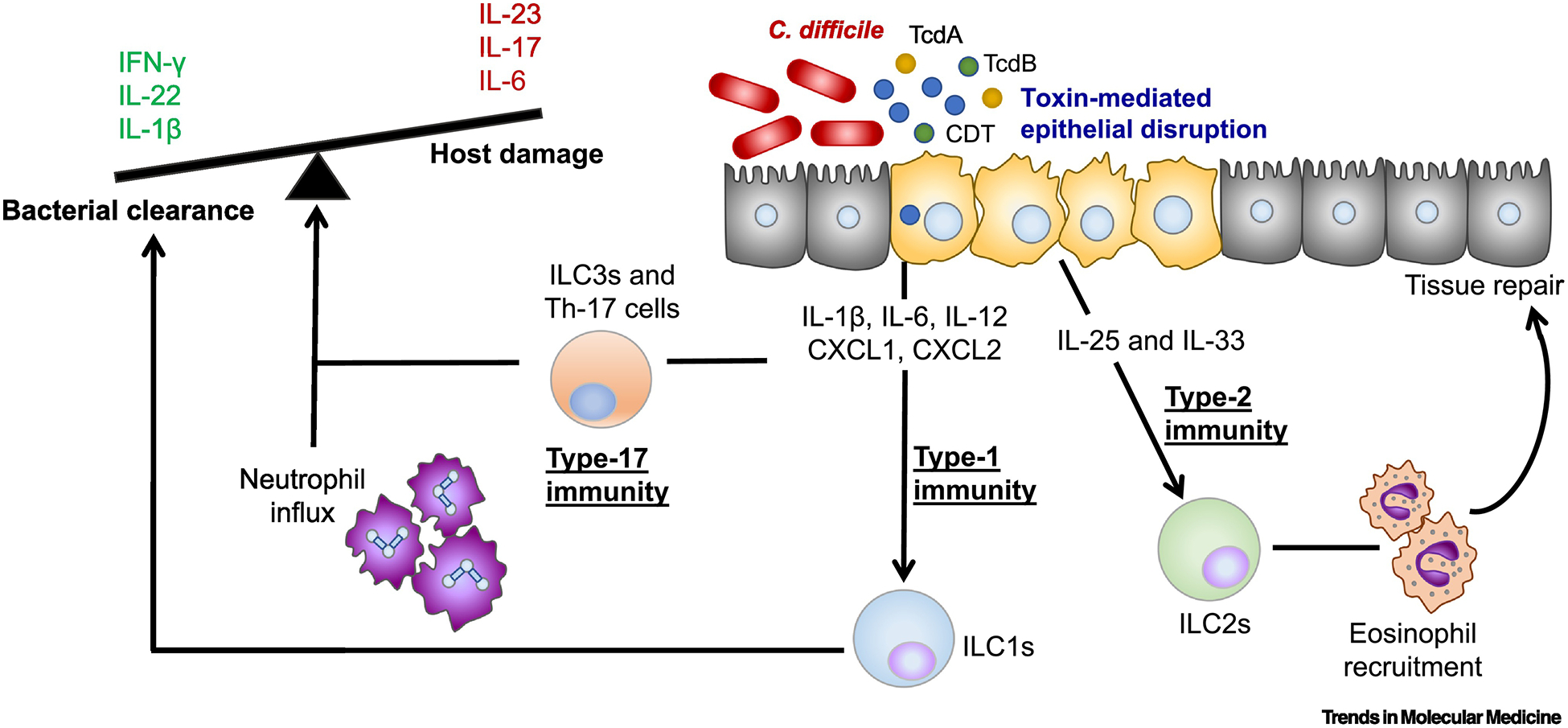 Figure 2: