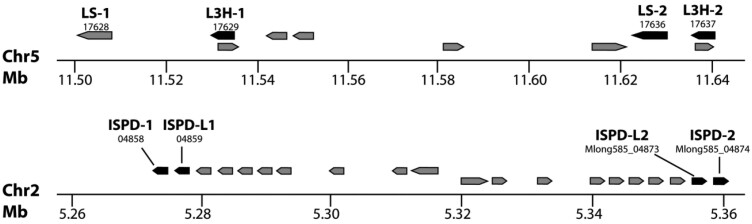 Fig. 5.