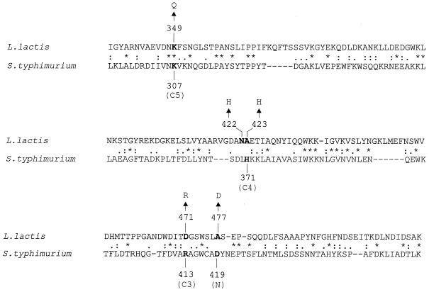 FIG. 1