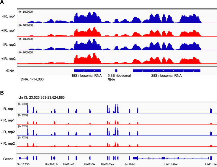 Figure 3—figure supplement 2.