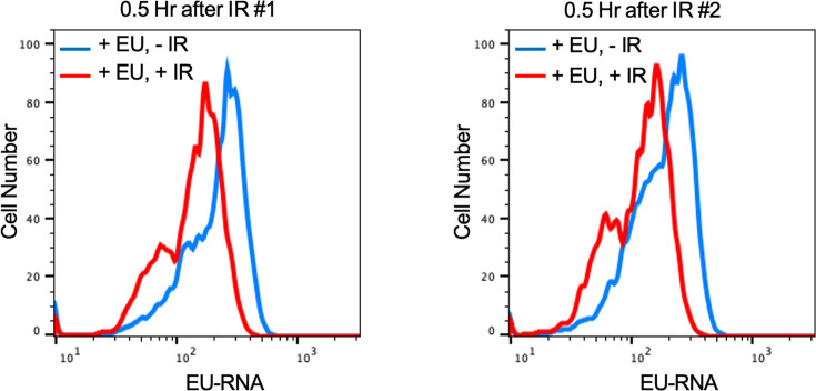 Figure 3—figure supplement 1.