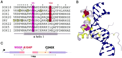 Figure  4