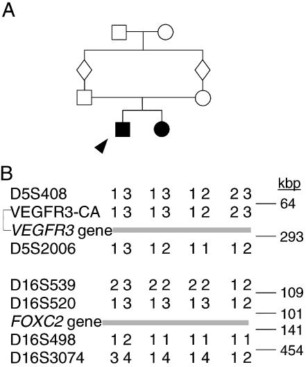 Figure  2