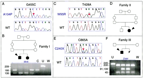 Figure  3