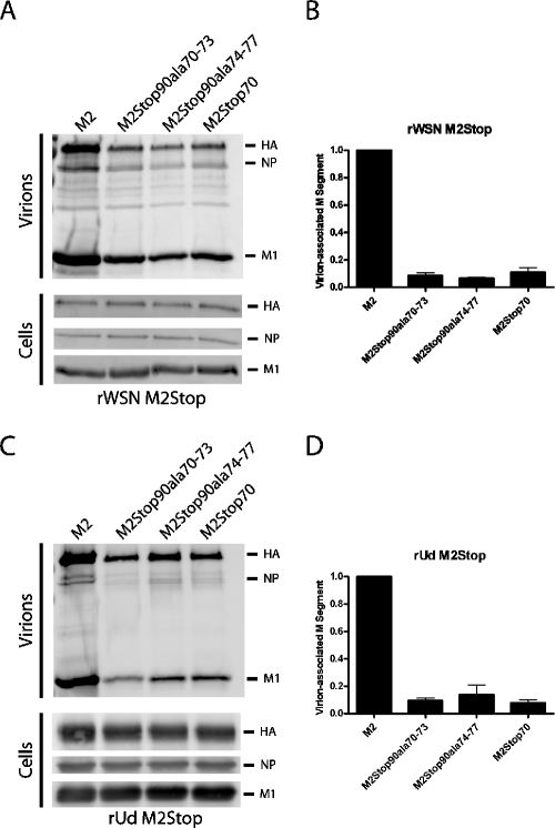 FIG. 7.