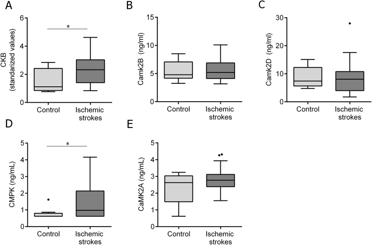 Figure 5