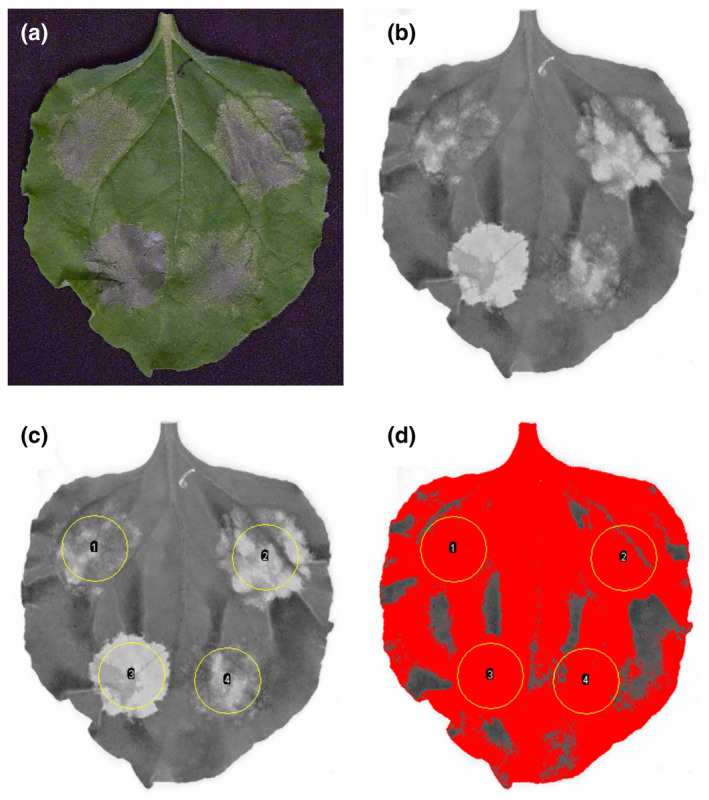 FIGURE 2