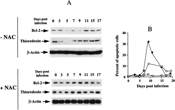 FIG. 7