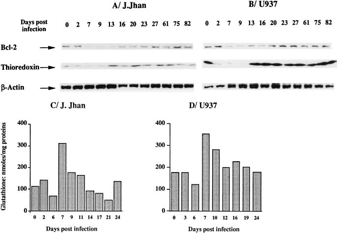 FIG. 6