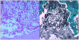 Figure 9.