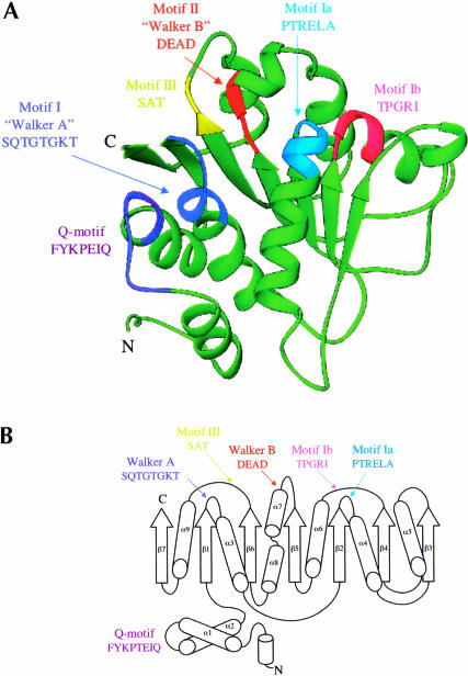 FIGURE 1.