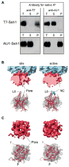 Fig. 3