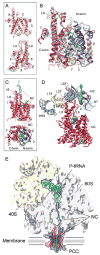 Fig. 6